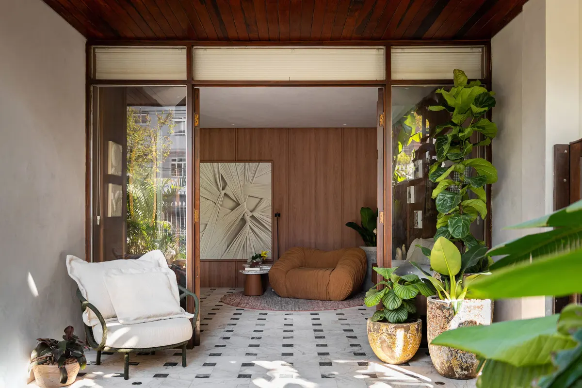 7 plantas que simbolizam prosperidade para cultivar em casa