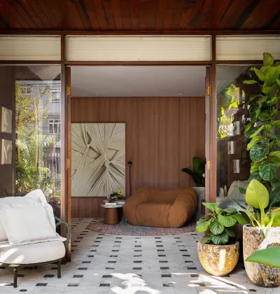 7 plantas que simbolizam prosperidade para cultivar em casa