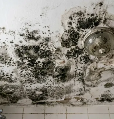 Passo a passo definitivo para acabar com o mofo no banheiro